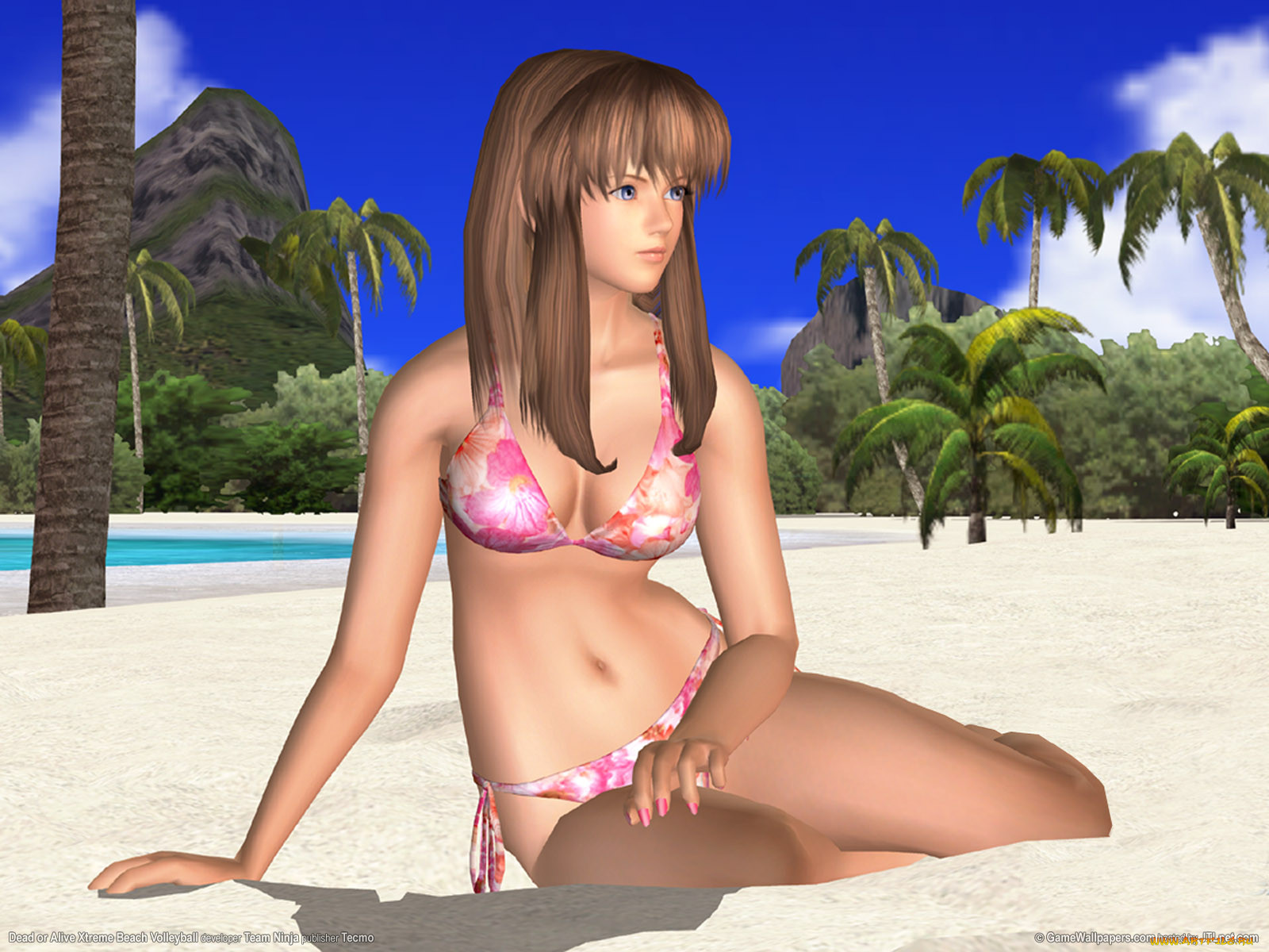 dead, or, alive, xtreme, beach, volleyball, , 